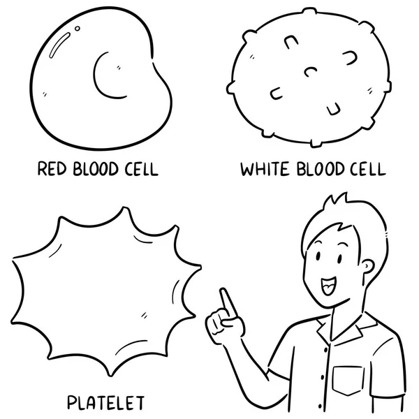 Conjunto Vetorial Células Sanguíneas — Vetor de Stock