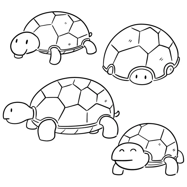 Vector Set Turtle — Stock Vector