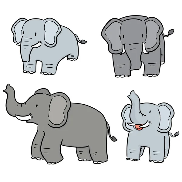 Vector Conjunto Elefante — Archivo Imágenes Vectoriales