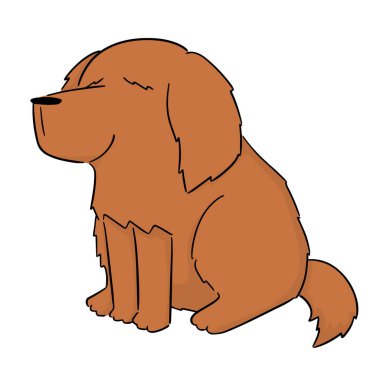 vektör köpek, golden retriever