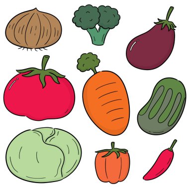 sebze vektör kümesi