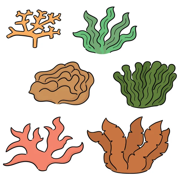 Conjunto Vectores Coral Algas Marinas — Archivo Imágenes Vectoriales