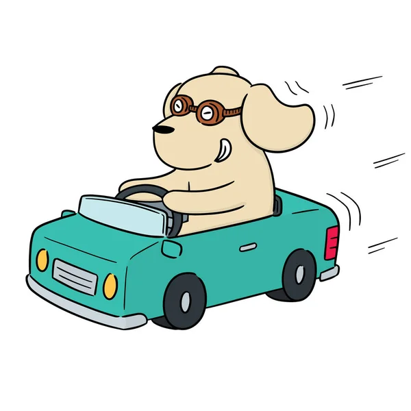 Vector Dog Driving Car — Stock Vector