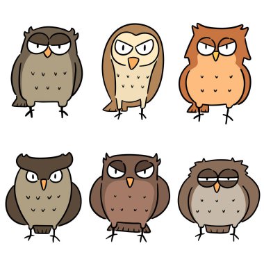 baykuş vektör kümesi