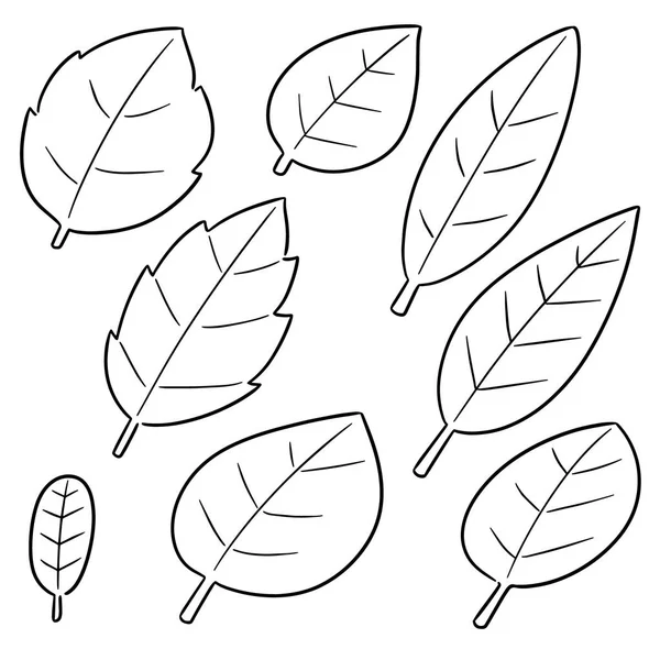 Vektorsatz Von Blättern — Stockvektor