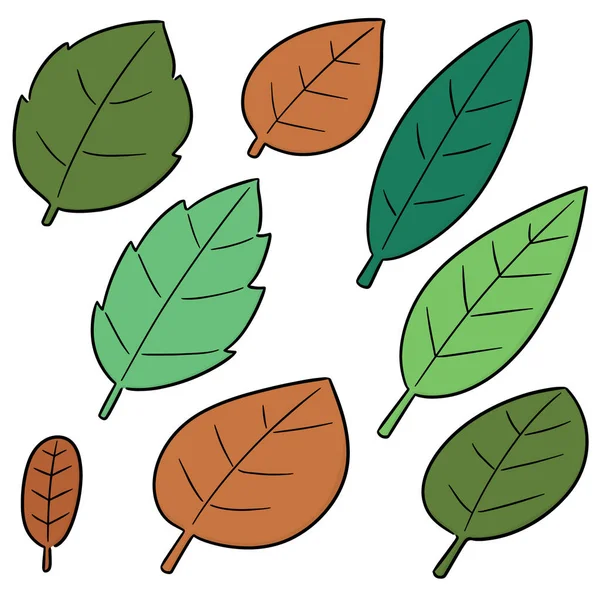 Vector Set Leaves — Stock Vector