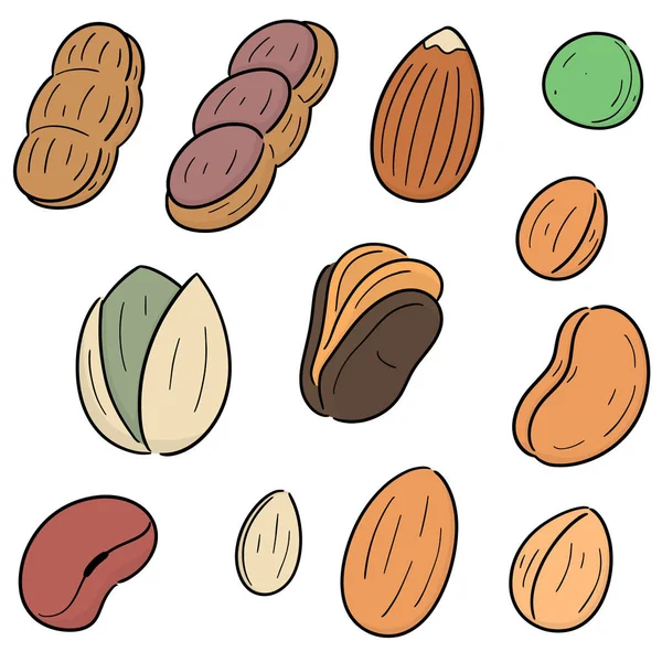 Vector Set Beans — Stock Vector