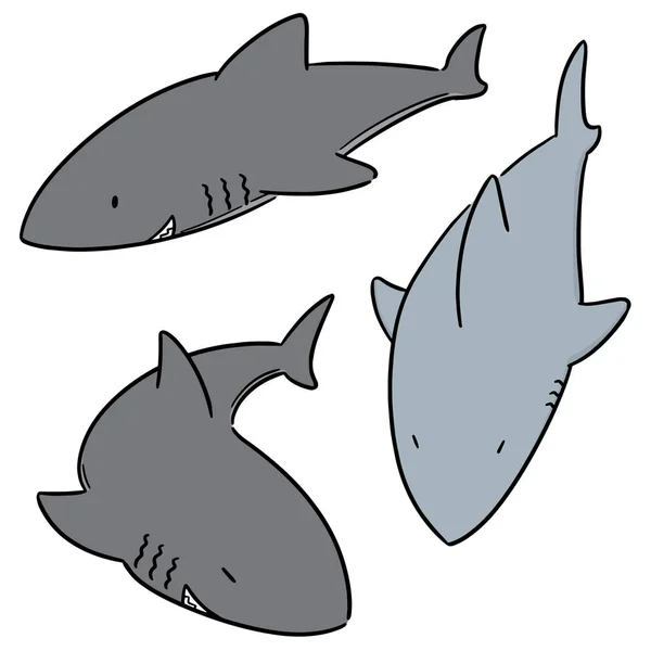 Jeu Vectoriel Requins — Image vectorielle