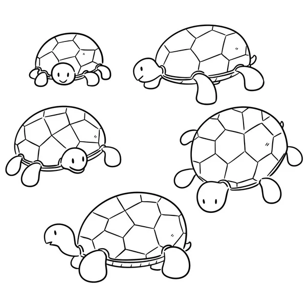 Vector Uppsättning Sköldpadda — Stock vektor