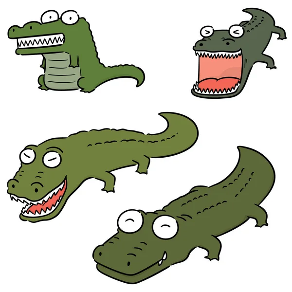 Conjunto Vetorial Crocodilo —  Vetores de Stock