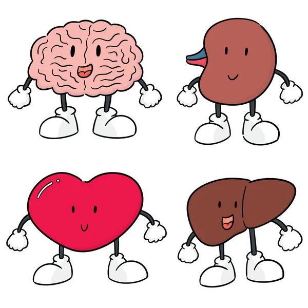 向量集的内部器官卡通 — 图库矢量图片