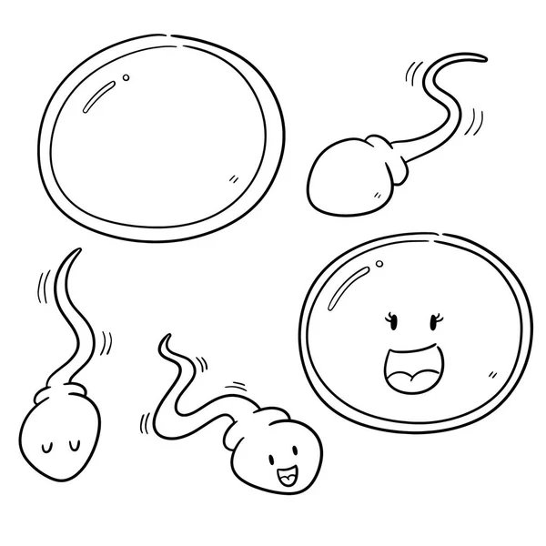 Vector Set Sperm Egg — Stock Vector