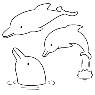 Yunus vektör kümesi