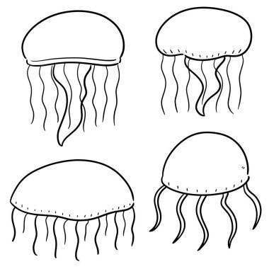 vektör kümesi denizanası