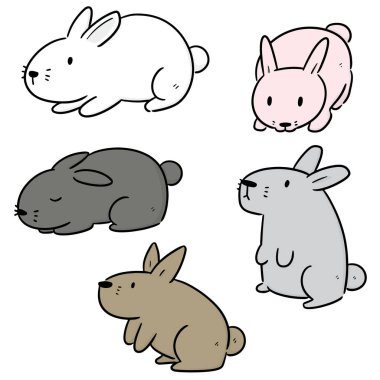 vektör tavşan kümesi