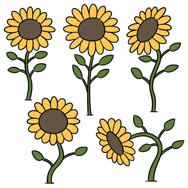 Vector Set Sunflower — Stock Vector