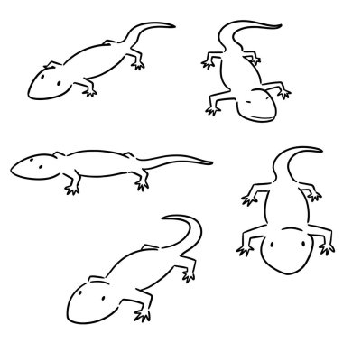 vektör set kertenkele