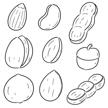 fasulye ve fındık vektör kümesi