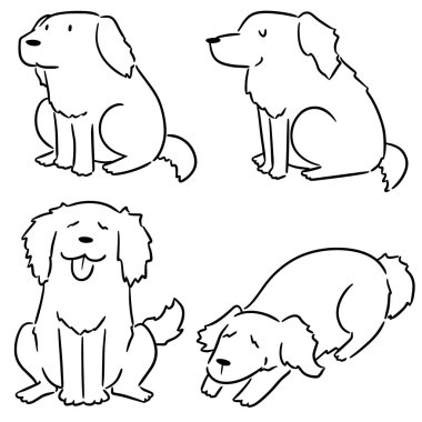 vektör set köpek, golden retriever