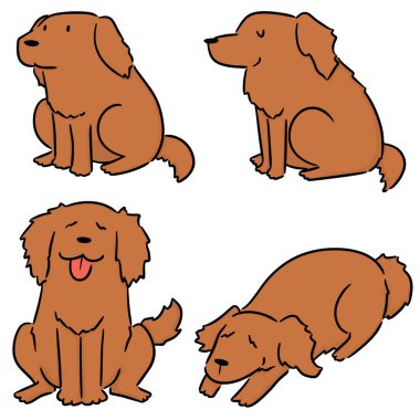 vektör set köpek, golden retriever