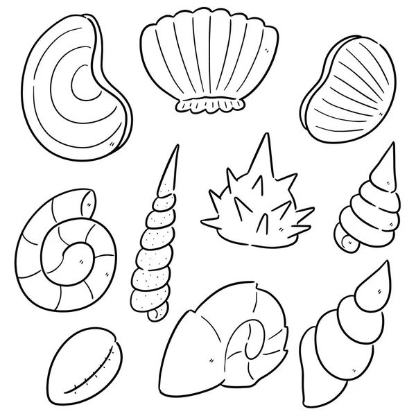 Векторный набор морских раковин — стоковый вектор