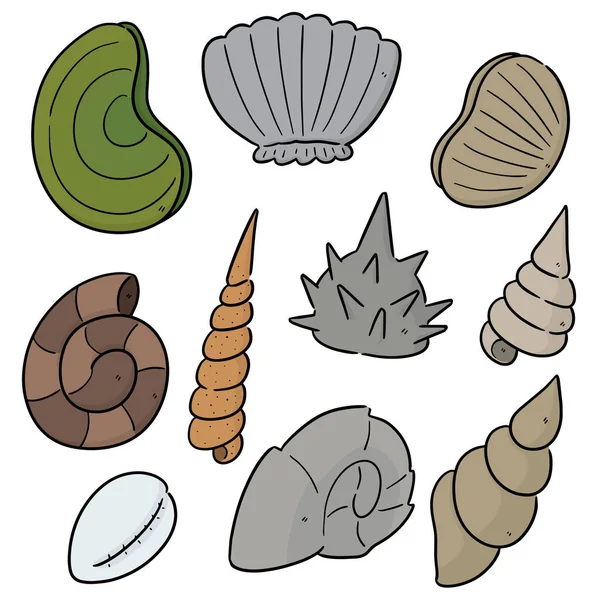 Vector set sea shell — Stockvector