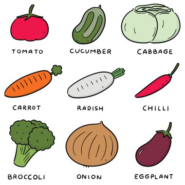 sebze vektör kümesi