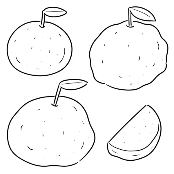 Vector Set Voor Guava — Stockvector