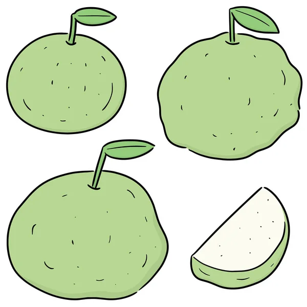 Vector Set Voor Guava — Stockvector