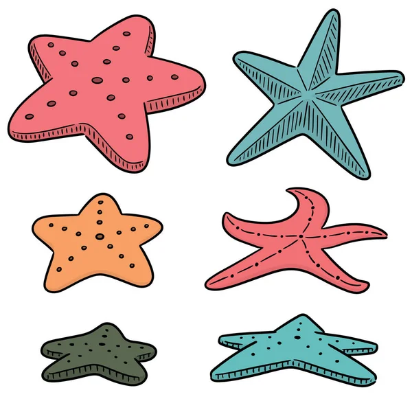 Vector Conjunto Estrellas Mar — Archivo Imágenes Vectoriales