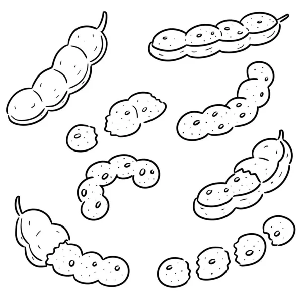 タマリンドのベクトルを設定 — ストックベクタ