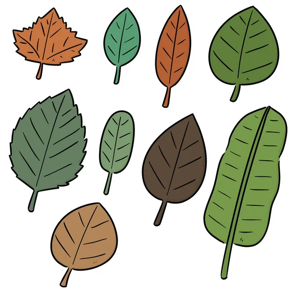 Vector Set Leaves — Stock Vector