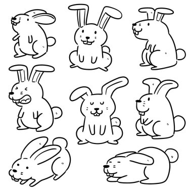 vektör tavşan kümesi