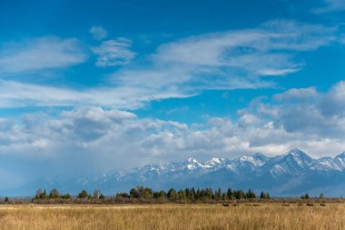 Tunkinsky Dağları'nın görünümü