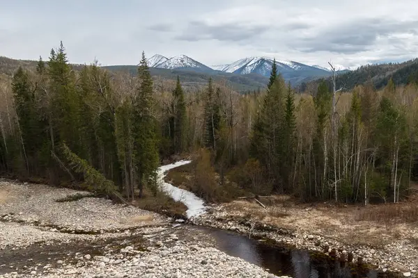 Frozen Creek Siberian Forest — Stock Photo, Image
