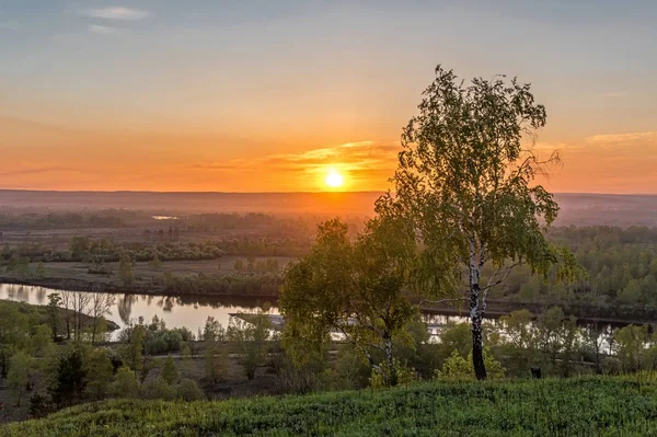 Vackra Landskapet Vid Solnedgången — Stockfoto