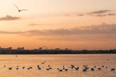 Golden sunset Bulvarında Irkutsk Angara Nehri
