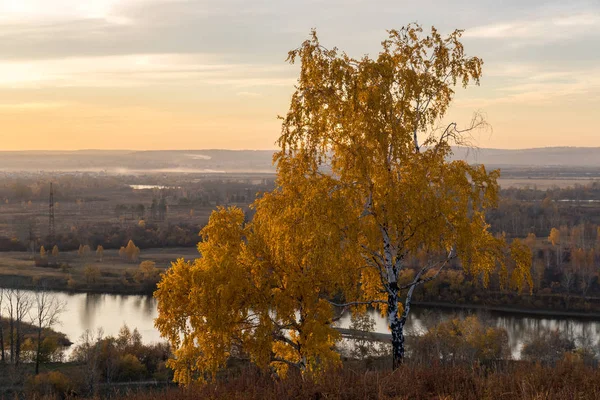 Sibirya'da Altın Sonbahar