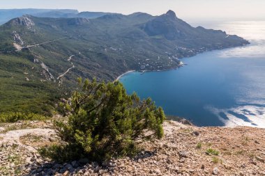 Laspi dağın yuvasından görünümünü
