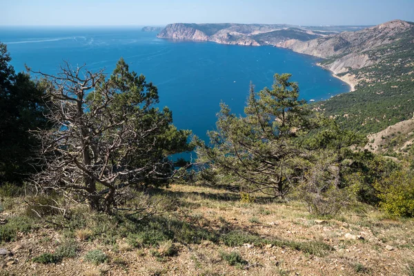 View of the Black Sea from a high mountain