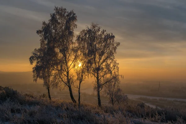 Coucher Soleil Doré Surplombant Rivière Irkut — Photo