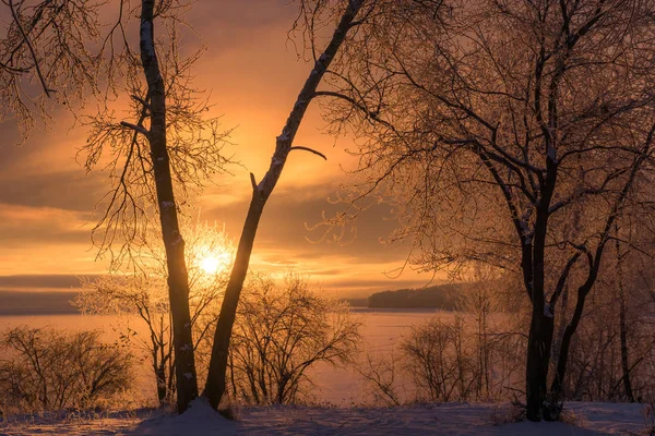 Winter sunrise on the banks of the Angara