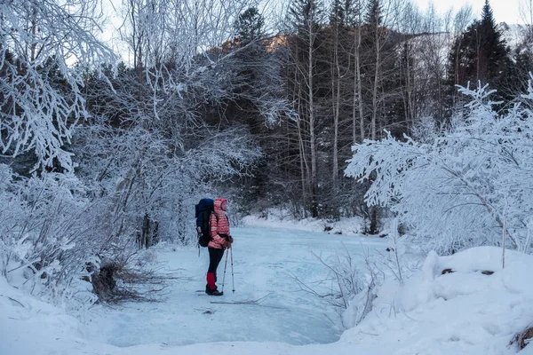 Zimní Trekking Horách Khamar Daban — Stock fotografie