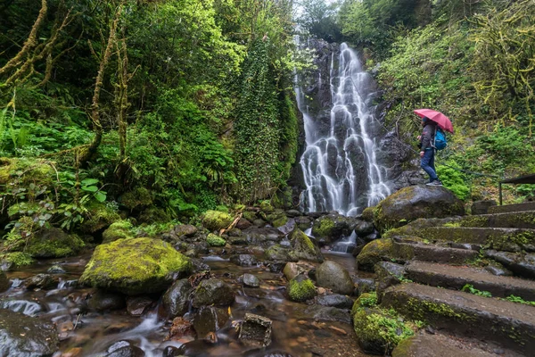 Een meisje bewondert de Mirveti-waterval in de bergen van Ajara, Georgië — Stockfoto