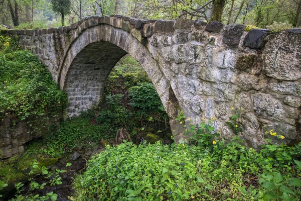 Ancien pont en pierre en Ajaria — Photo