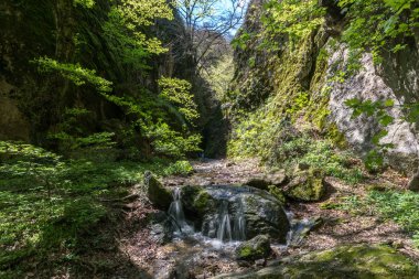 Birtvisi kanyonundaki nehir, Gürcistan