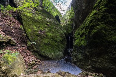 Birtvisi kanyonundaki nehir, Gürcistan