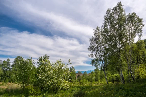 Demiryolu üzerinde Eski Taş Köprü