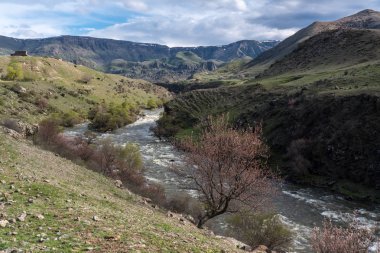 Kura Nehri'nin geçitinde bahar manzarası, Gürcistan