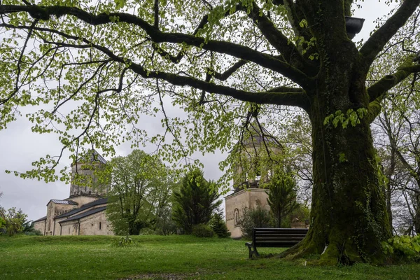 Parco vicino al Monastero di Chkondidi a Martvili, Georgia — Foto Stock